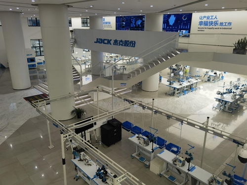制造业重镇台州 小树 已然长成 森林