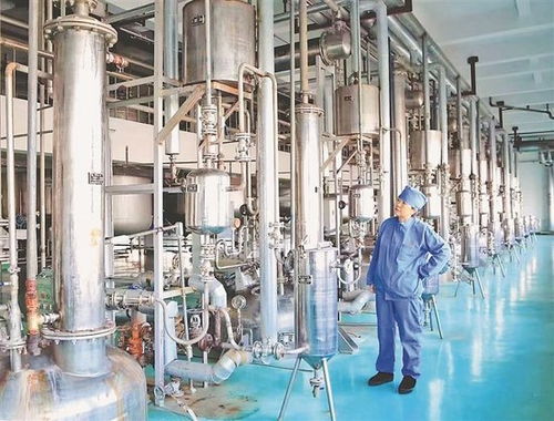 鸡西生物医药产业强势崛起 未来可期